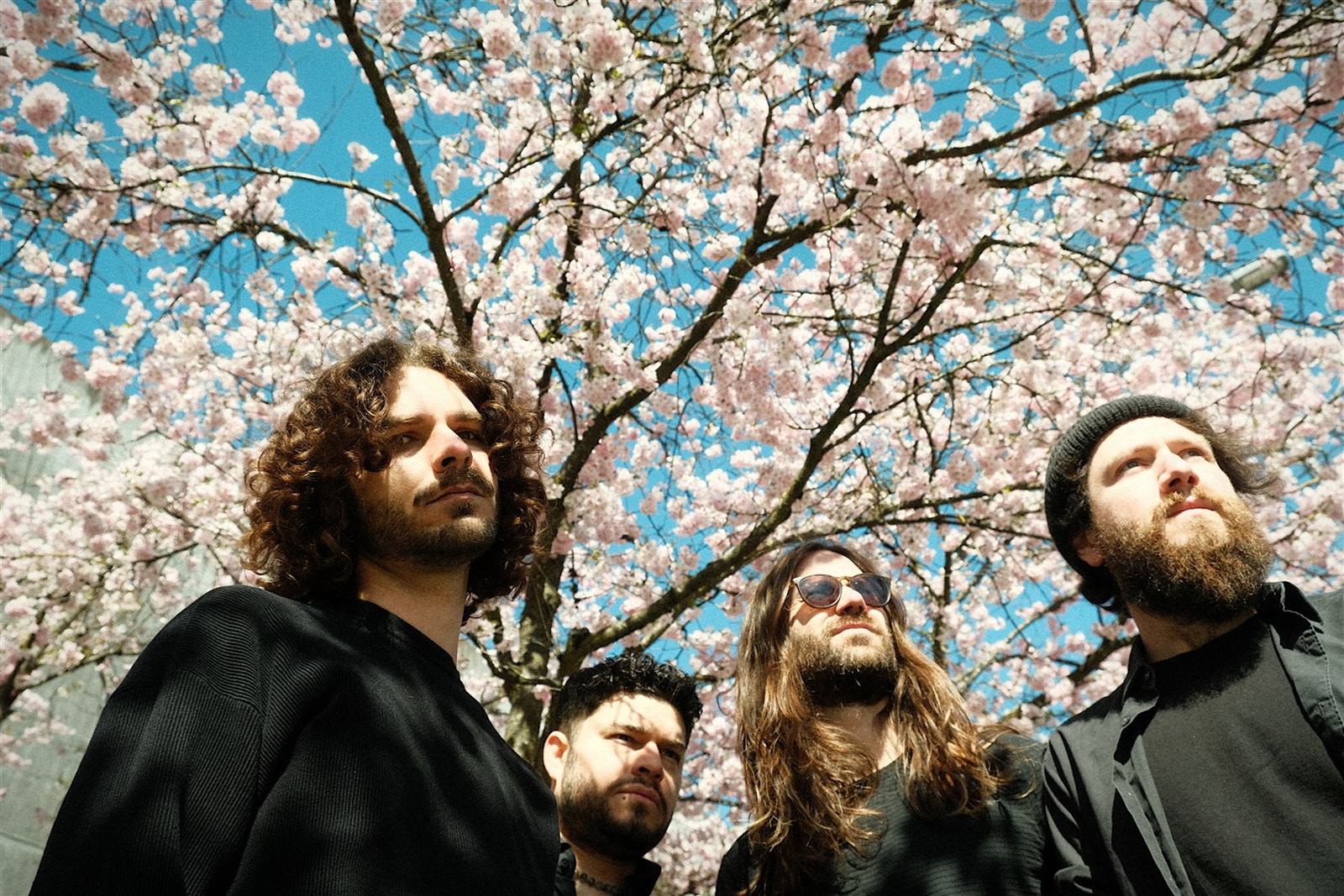 Digital Carbs under a blossoming cherry tree. Photo: Lena Goth